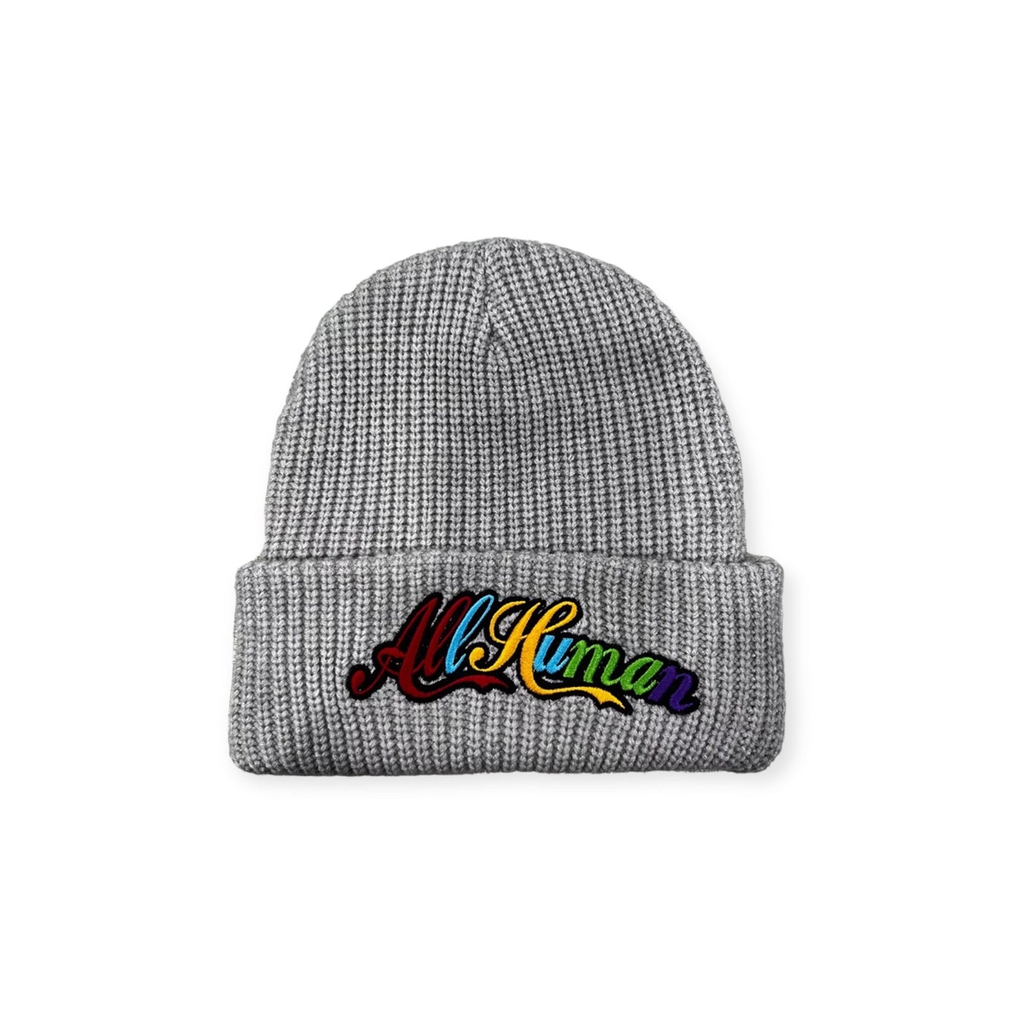 ALL HUMAN FIELD TRIP BEANIE
