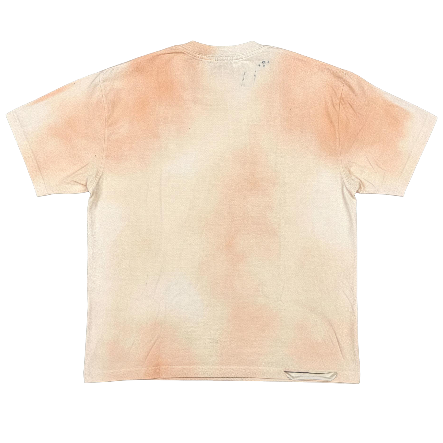 ALL HUMAN 1900 SHIRT