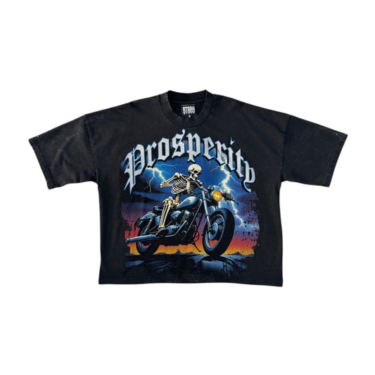 STRAY PROSPERITY CROPPED T-SHIRT